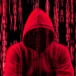 Samiznet Media Avatar